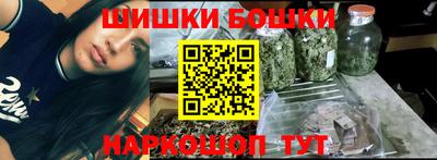 индика Железногорск
