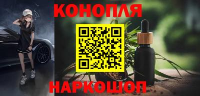 индика Железногорск