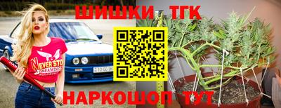 индика Железногорск
