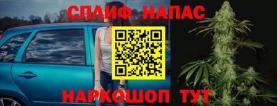 индика Железногорск